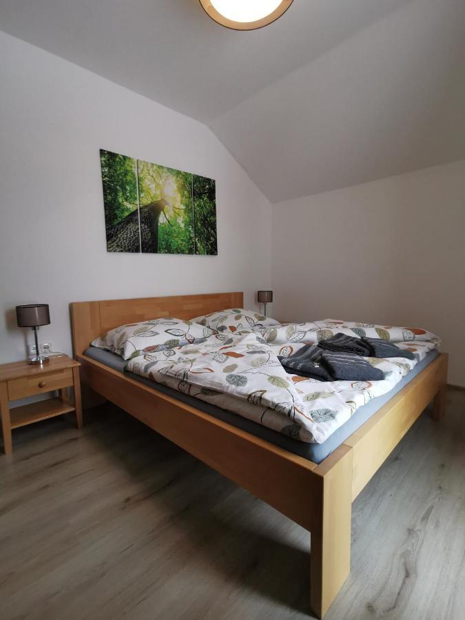 Loučná pod KlínovcemApartman 5 Klinovecアパートメント エクステリア 写真
